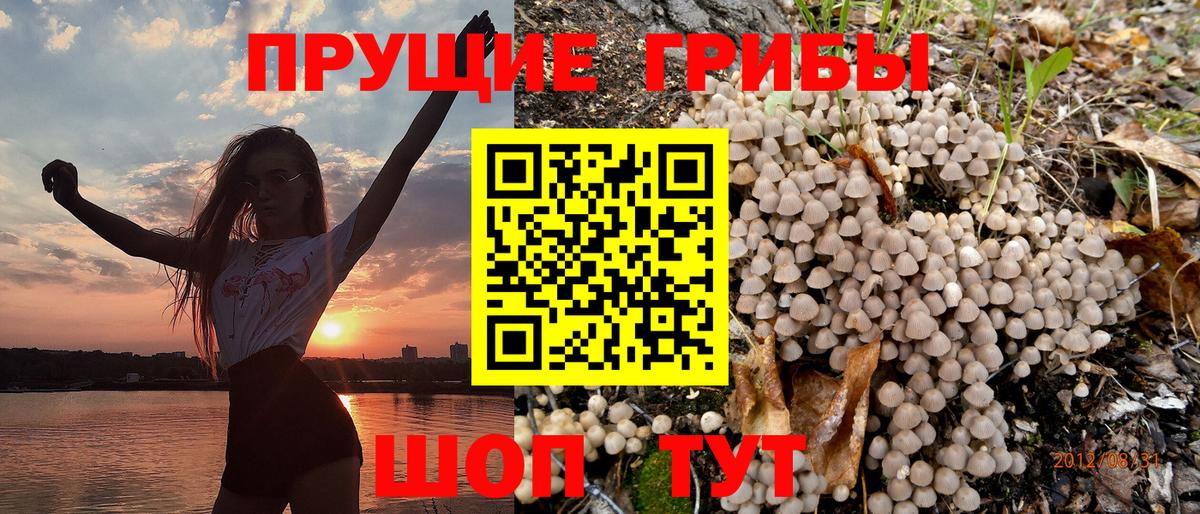 Галлюциногенные грибы GOLDEN TEACHER Новый Уренгой