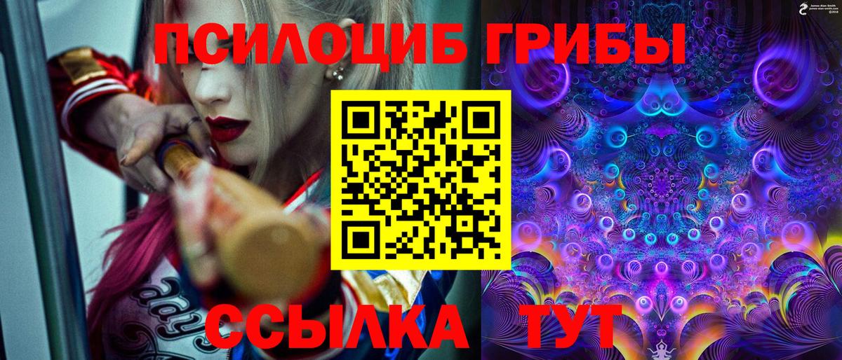 Новый Уренгой  Галлюциногенные грибы Psilocybe  Вход с VPN 